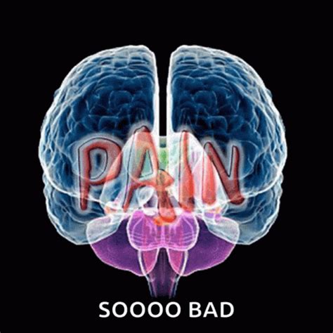 pain gif|funny pain gif.